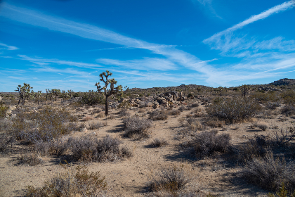 2071年最新一期开奖结果正式公布