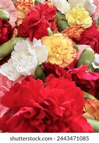 20日开奖大乐透头奖花落谁家，亿元奖池静待幸运得主