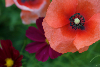 2027期开奖结果最新公布，快来看看你中奖了吗？