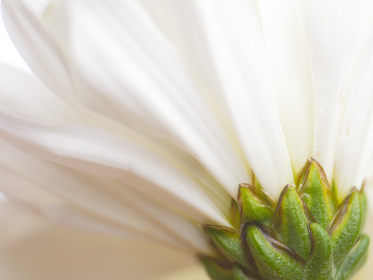 21014期体育彩票开奖结果最新公布