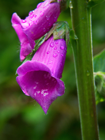 20293期最新开奖结果查询与详细分析